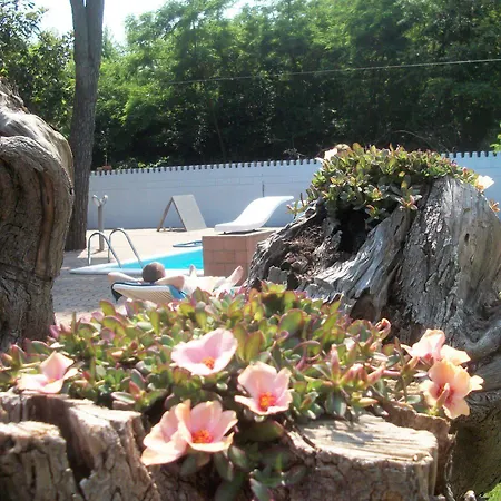Bed & Breakfast Southitaly Busto Arsizio
